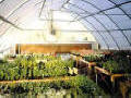 Ranger Greenhouse