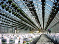Ranger Greenhouse