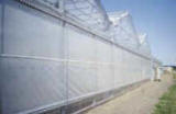 Sidewall