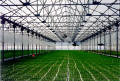Retractable Roof Greenhouses