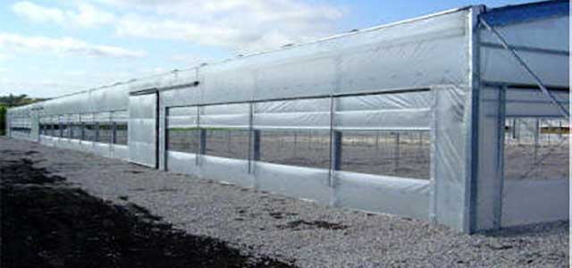 Exterior Walls