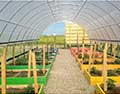 Round Cold Frame