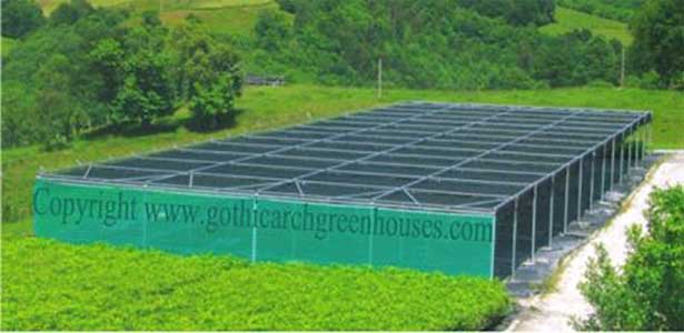 Shade Greenhouses 