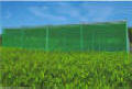 Shade Greenhouses 