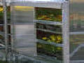 Home Gardener Greenhouse