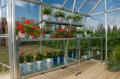 Snap & Grow Greenhouses