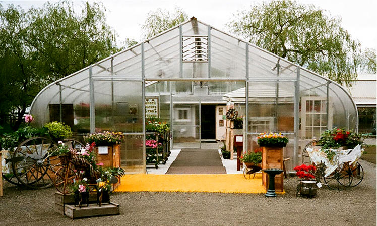 How to build a greenhouse for aquaponics Outback food producers experiment with new ways to grow crops on barren opal fields
