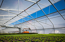 SolaWrap  Covering