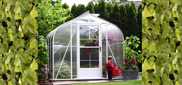 Pacific Greenhouses 10'W x 12'L Glass Greenhouse 