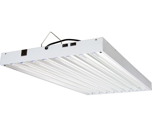 AO T5 432W 4' 8-Tube Fixture with Lamps, 240V