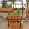 TAB Aquaponics System   