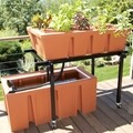 TAB Aquaponics System   