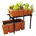 TAB Aquaponics System   