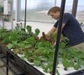 the School Aquaponic System