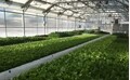 Flourish Aquaponic Farms