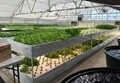 Flourish Aquaponic Farms