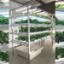 Vertical NFT Lettuce & Herb System 