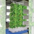 Vertical Aeroponic System-8' 