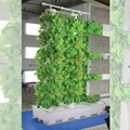 Vertical Aeroponic System-mini -4' 