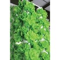 Vertical Aeroponic System-mini -4' 