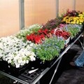 REDI-GRO Greenhouse Bench Kits