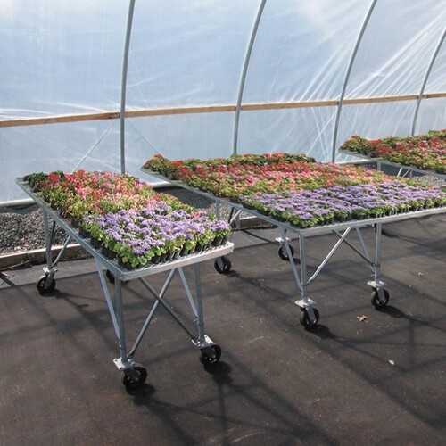 Greenhouse Bench on Wheels