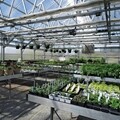 Metal Multi-Level Greenhouse Benches Tables