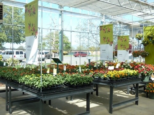 Lifetime Fixed Greenhouse Benches