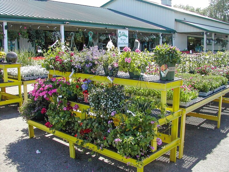 AV Three Tier Stairstep Display Gothic Arch GreenhousesGothic Arch