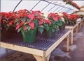 A-V Greenhouse Bench Tops