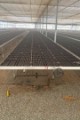 original-greenhouse-benchtop