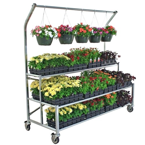 2-Tier Display with Caste