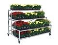 3-Tier Single Display with Caste