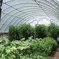 Round High Tunnels