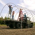 Economy High Tunnel & Hoop Houses 