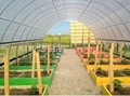 Round Cold Frames