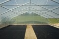 PT30 Gothic Greenhouse Package