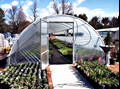 Hoop House 