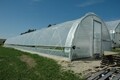 Hoop House 