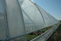 Hoop House 