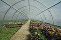 Hoop House