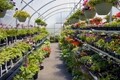 Garden-Mart  Retail Greenhouses