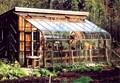 Pacific Glass Lean-To Greenhouse