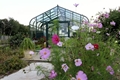 16' W x 20' L Green , Pacific Glass Greenhouse Kit