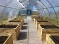 Riga XL Greenhouse