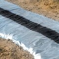 Metallic Plastic Mulch