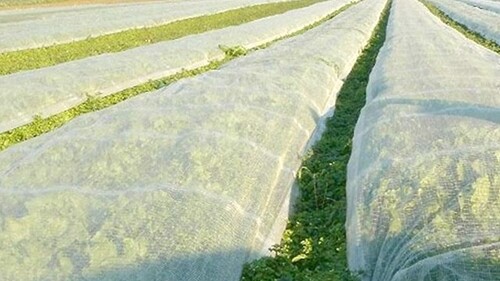 Floating Crop Covers