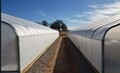 SolaWrap Greenhouse Covering - Poly