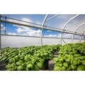 SolaWrap Greenhouse Covering - Poly