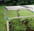 Mini BioStar Premium Cold-Frame